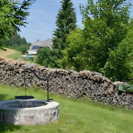 Gasthaus-Pension Zum Loewen Grafenhausen Buitenkant foto