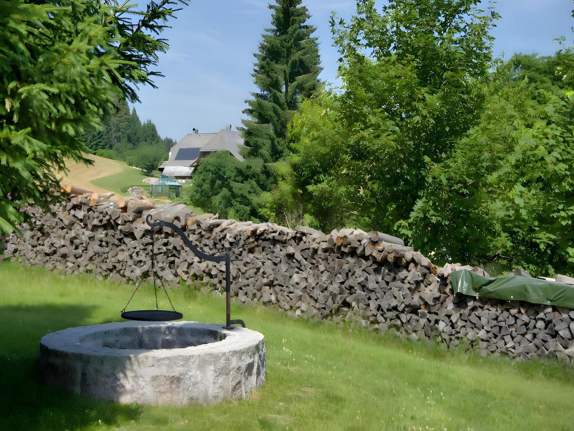 Gasthaus-Pension Zum Loewen Grafenhausen Buitenkant foto