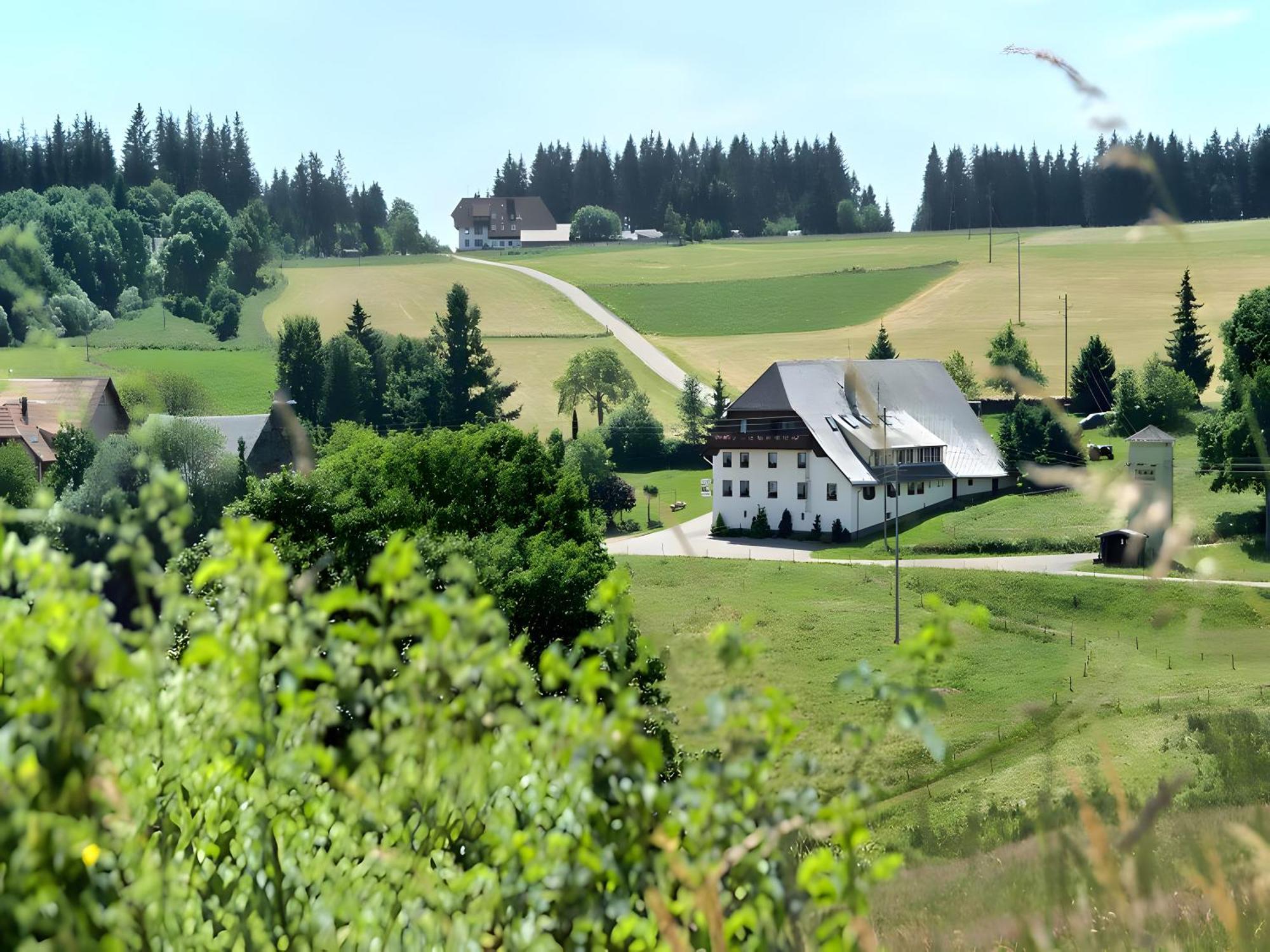 Gasthaus-Pension Zum Loewen Grafenhausen Buitenkant foto