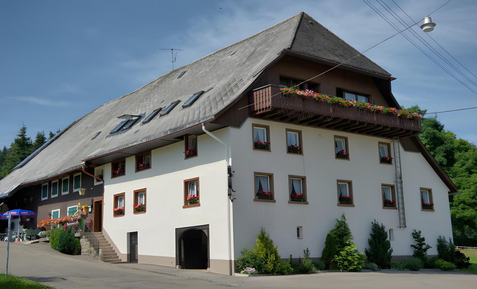 Gasthaus-Pension Zum Loewen Grafenhausen Buitenkant foto