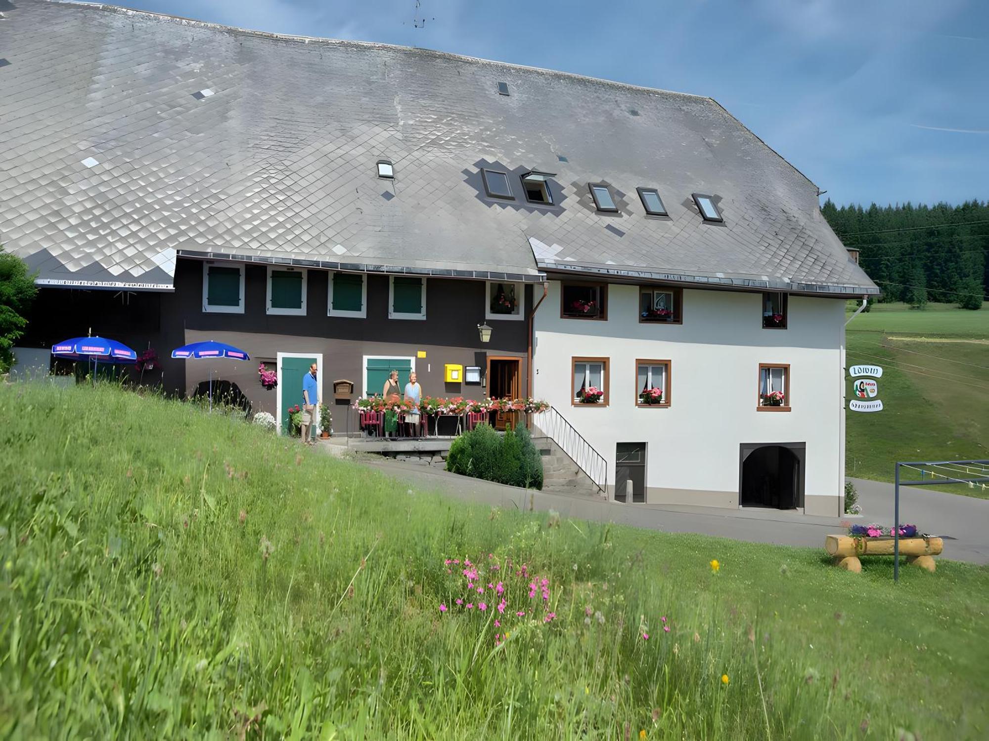 Gasthaus-Pension Zum Loewen Grafenhausen Buitenkant foto