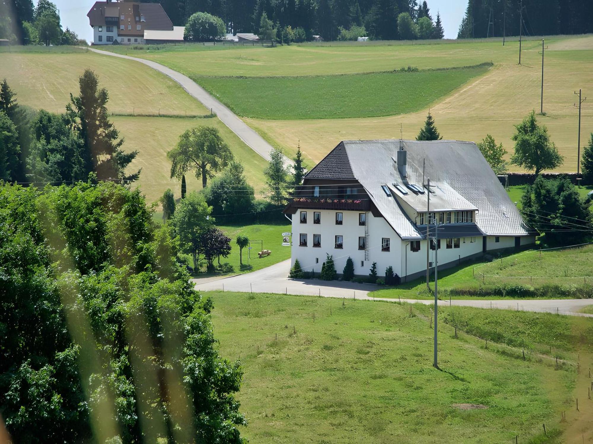 Gasthaus-Pension Zum Loewen Grafenhausen Buitenkant foto